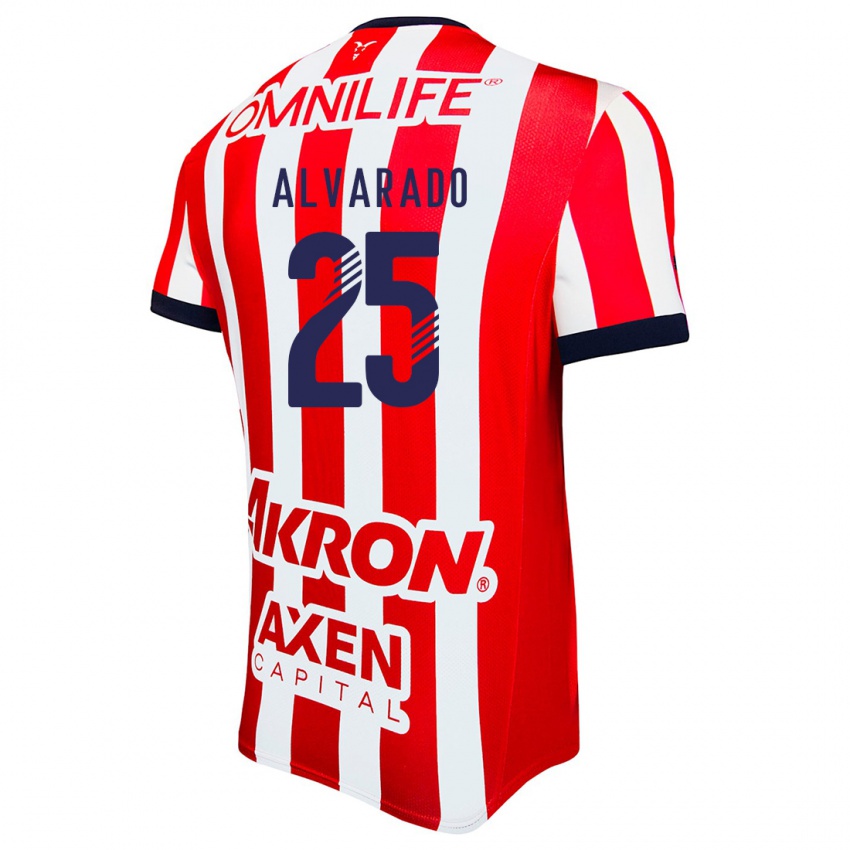 Heren Roberto Alvarado #25 Rood Wit Blauw Thuisshirt Thuistenue 2024/25 T-Shirt België