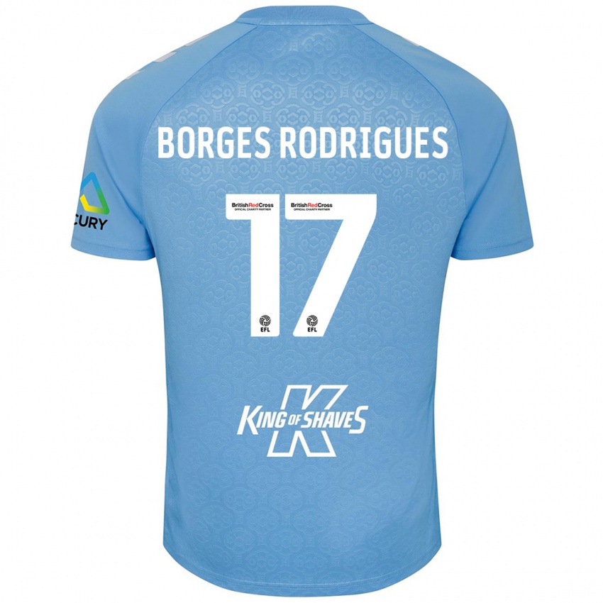 Homme Maillot Raphael Borges Rodrigues #17 Bleu Blanc Tenues Domicile 2024/25 T-Shirt Belgique